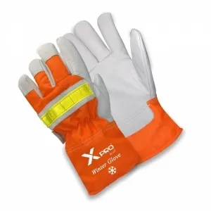 Winter Glove