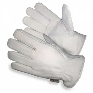 Winter Glove