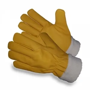 Winter Glove